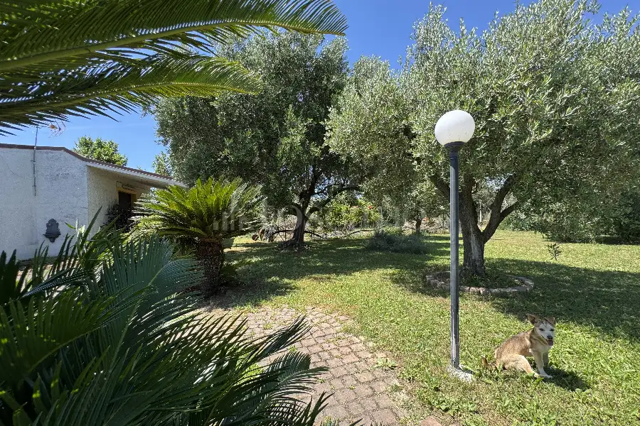 Villa in vendita di 350 mq a €475.000 (rif. 15/2025)