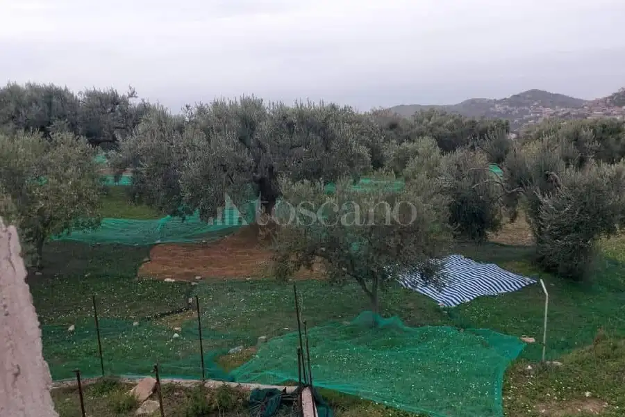 Agricolo in vendita di 13.400 mq a €59.000 (rif. 13/2026)