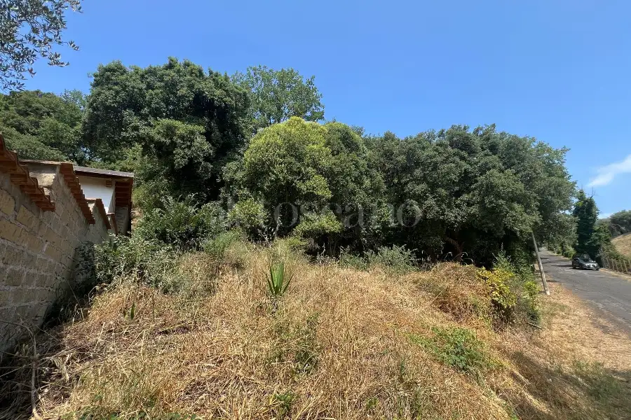 Agricolo in vendita di 3.000 mq a €55.000 (rif. 38/2025)