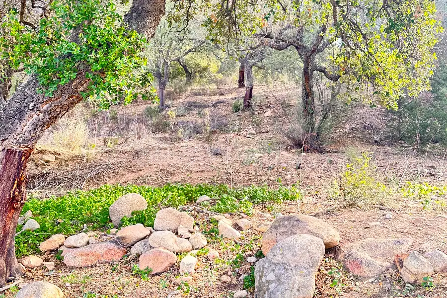 Agricolo in vendita di 375.217 mq a €480.000 (rif. 55/2024)