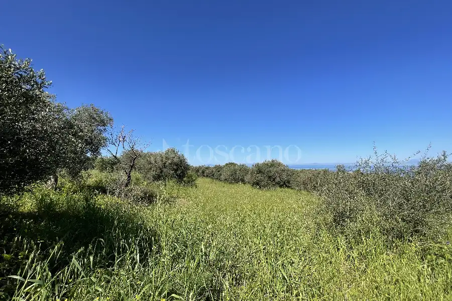 Rustico in vendita di 178 mq a €70.000 (rif. 14/2026)