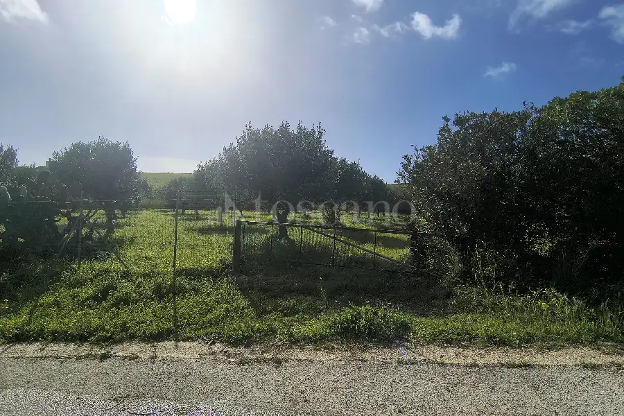 Agricolo in vendita di 55.538 mq a €128.000 (rif. 15/2026)