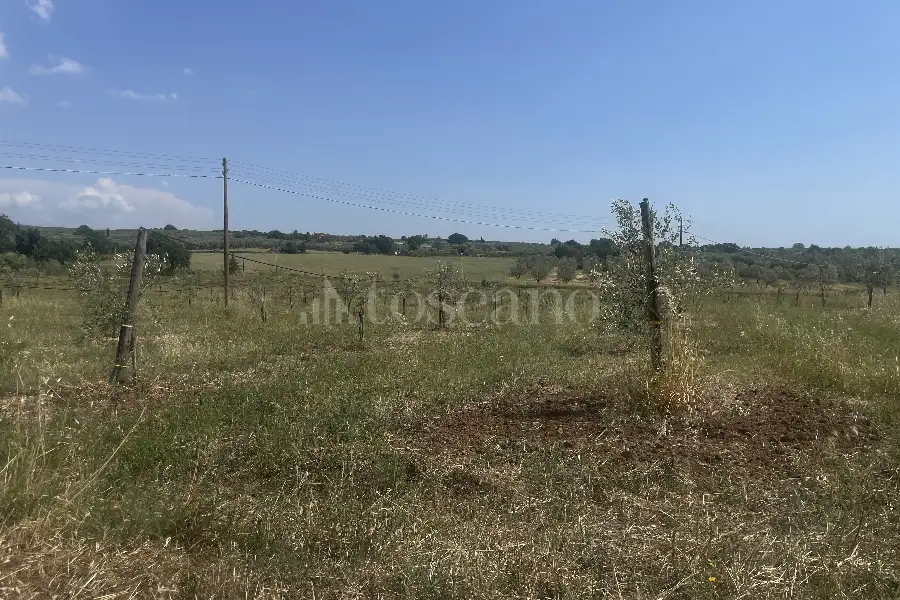 Agricolo in vendita di 60.000 mq a €170.000 (rif. 25/2026)