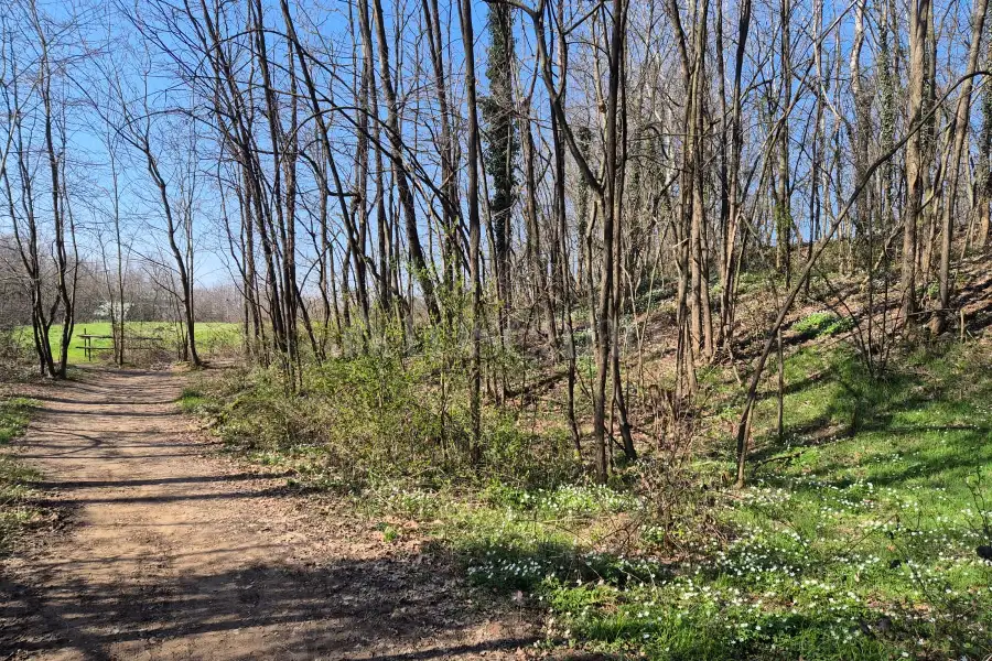 Agricolo in vendita di 80.000 mq a €445.000 (rif. 8/2025)