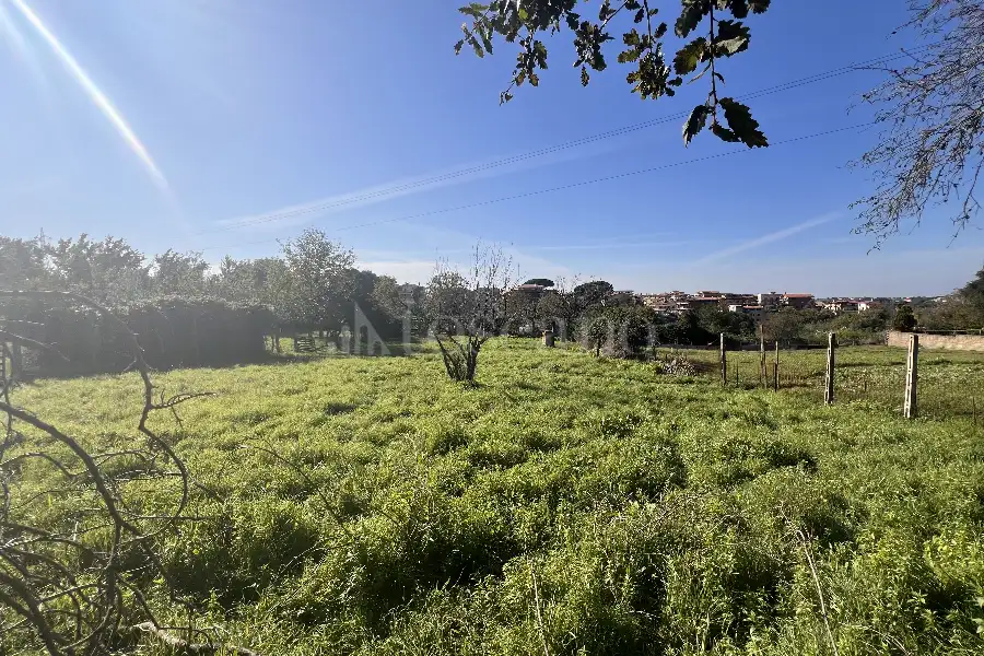 Agricolo in vendita di 1.200 mq a €100.000 (rif. 1/2025)