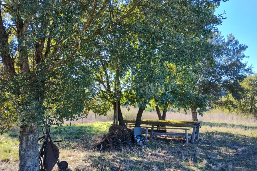 Agricolo in vendita di 1.200 mq a €45.000 (rif. 62/2025)