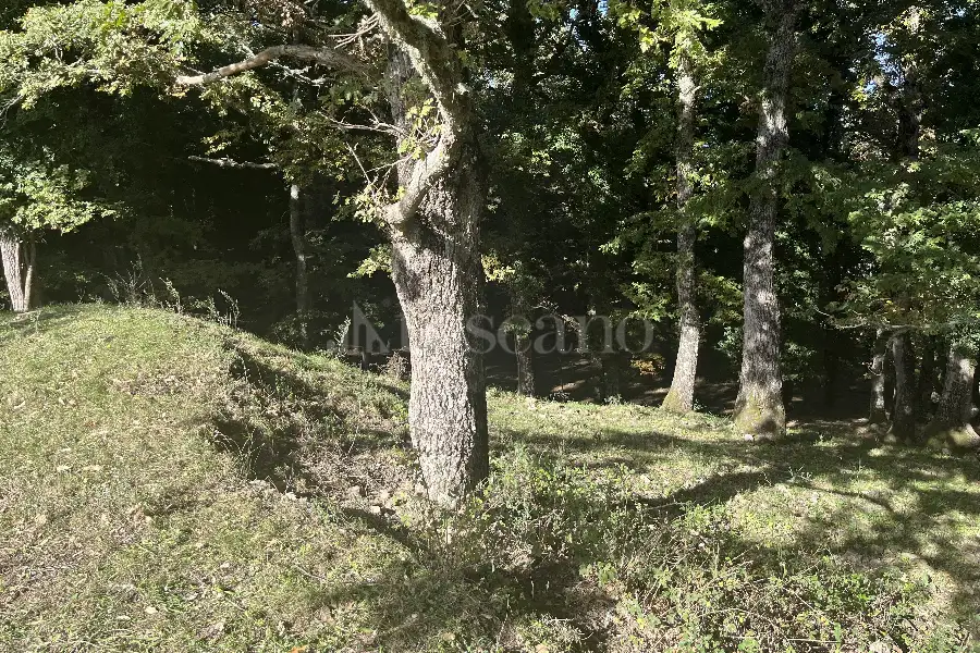 Casale in vendita di 860 mq trattativa riservata (rif. 258/2025)