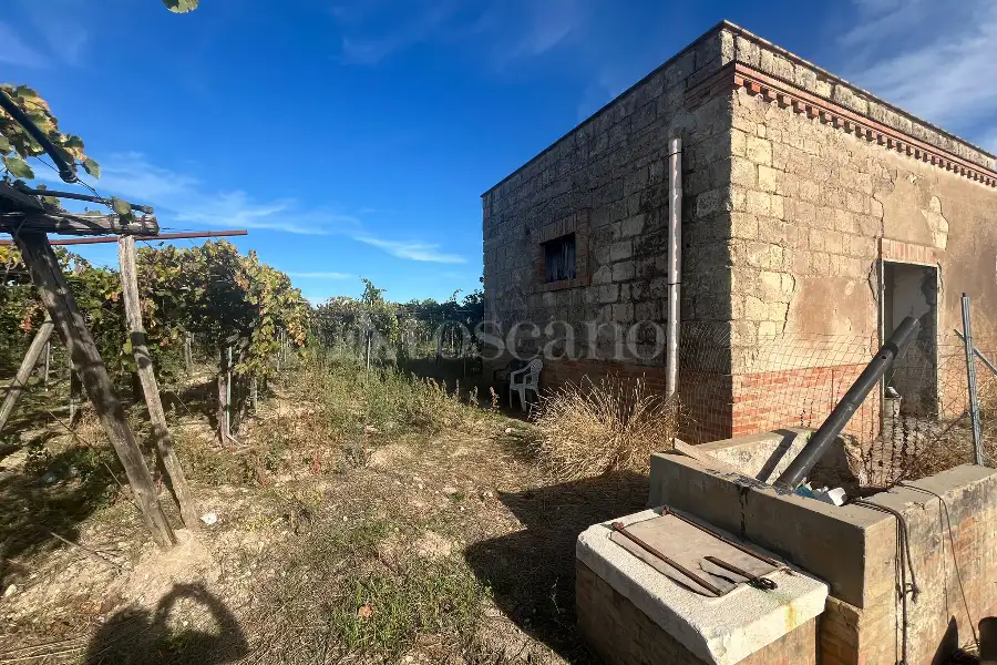 Agricolo in vendita di 7.000 mq a €69.000 (rif. 54/2025)