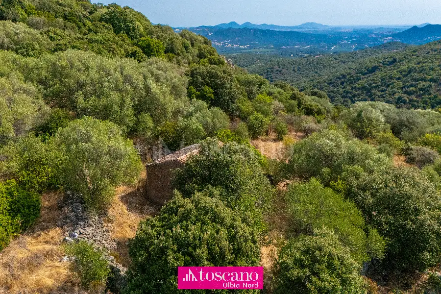 Agricolo in vendita di 176.937 mq a €170.000 (rif. 49/2026)