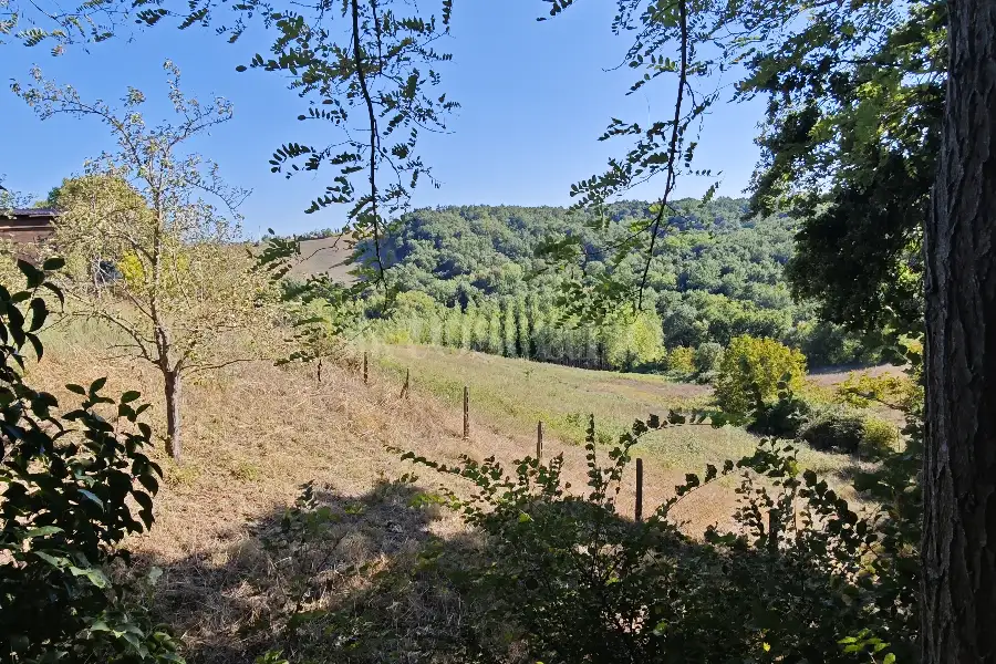 Agricolo in vendita di 20.000 mq a €80.000 (rif. 24/2026)