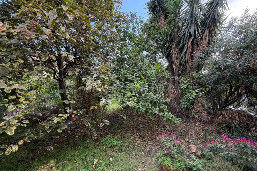 Casa Indipendente in vendita di 122 mq a €89.000 (rif. 139/2026)