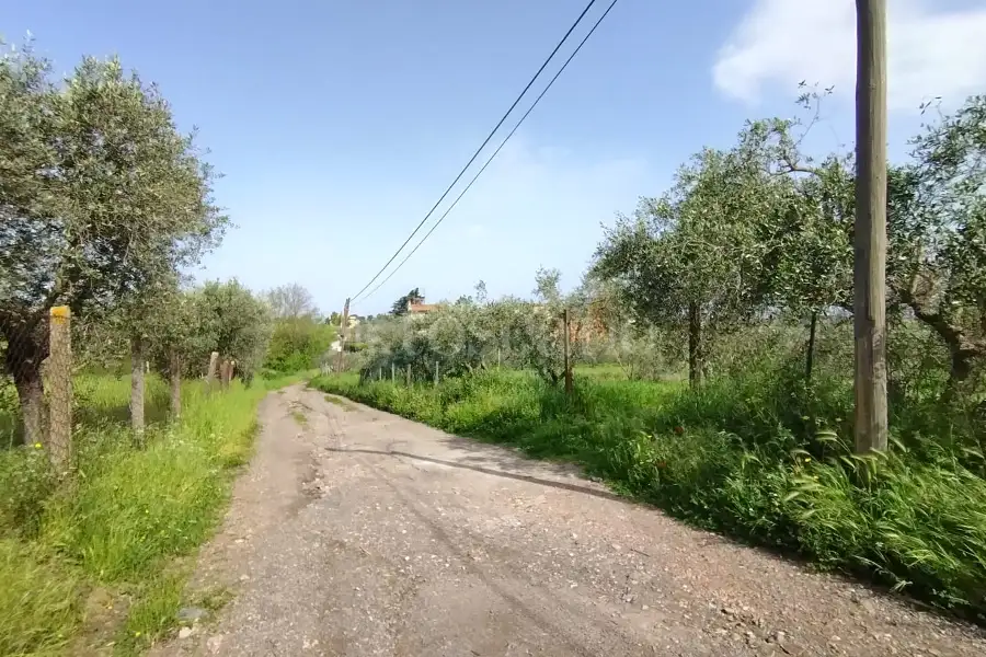 Agricolo in vendita di 5.520 mq a €65.000 (rif. 12/2025)