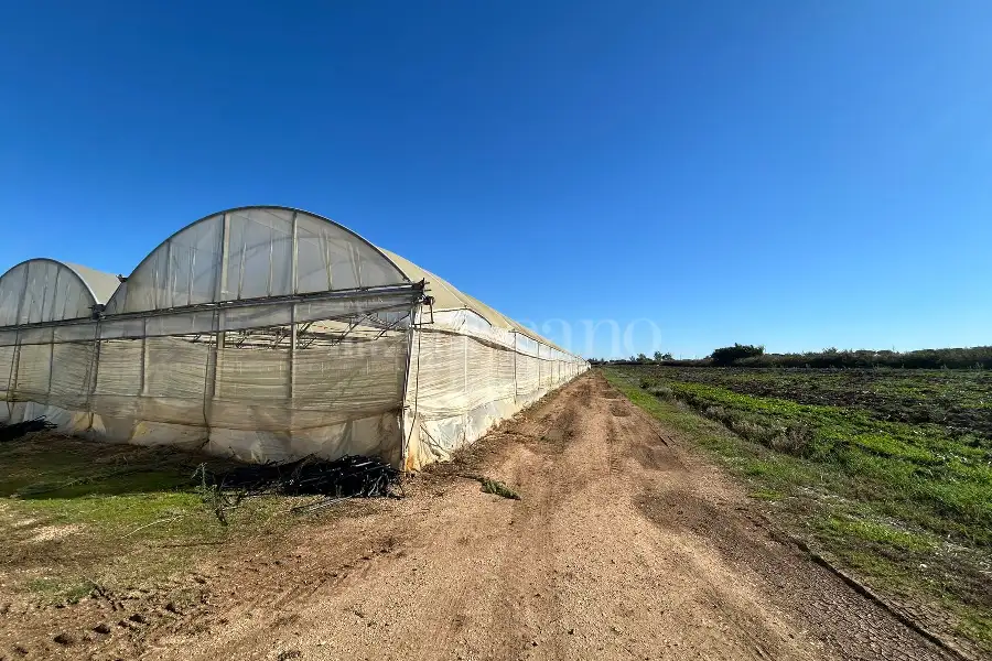 Agricolo in affitto di 50.000 mq a €80.000 (rif. 4/2026)