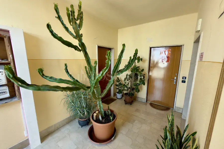 Casa in vendita di 160 mq a €255.000 (rif. 38/2026)