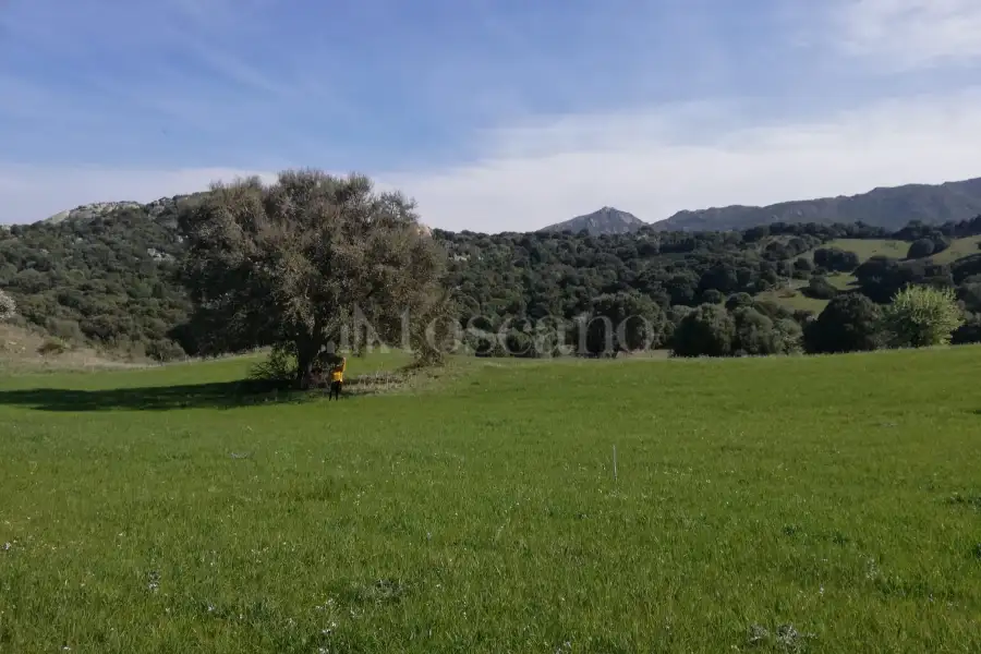 Agricolo in vendita di 194.010 mq a €250.000 (rif. 56/2024)