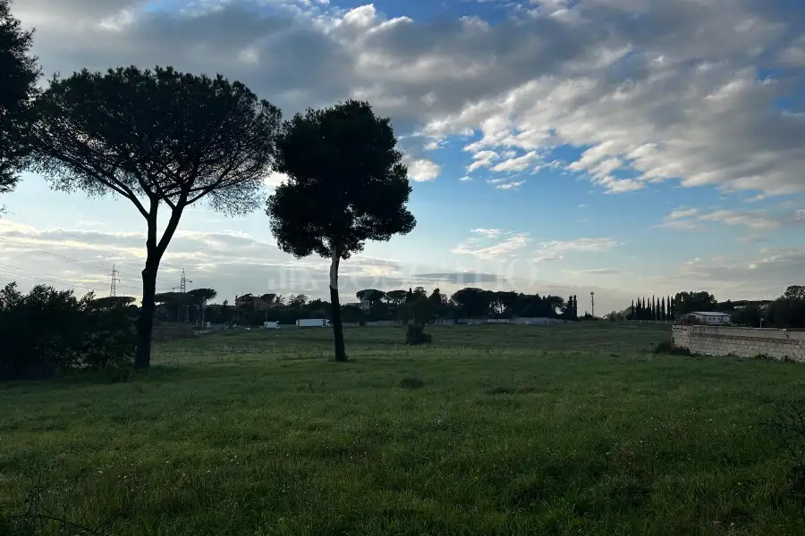 Edificabile Residenziali in vendita di 2.000 mq a €299.000 (rif. 11/2025)