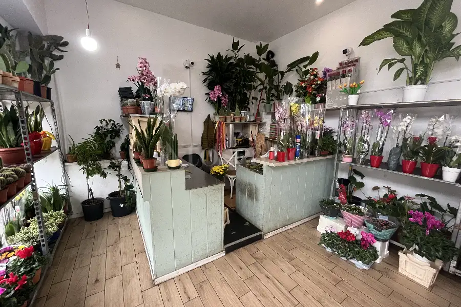 Negozio in vendita di 60 mq a €225.000 (rif. 33/2025)