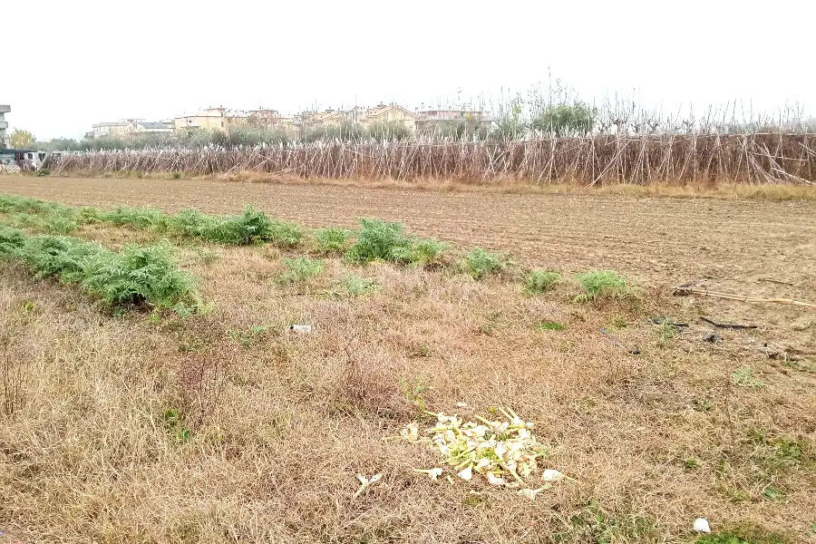 Agricolo in vendita di 2.400 mq a €55.000 (rif. 64/2025)