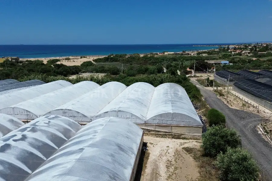 Edificabile Residenziali in vendita di 8.000 mq a €165.000 (rif. 63/2025)