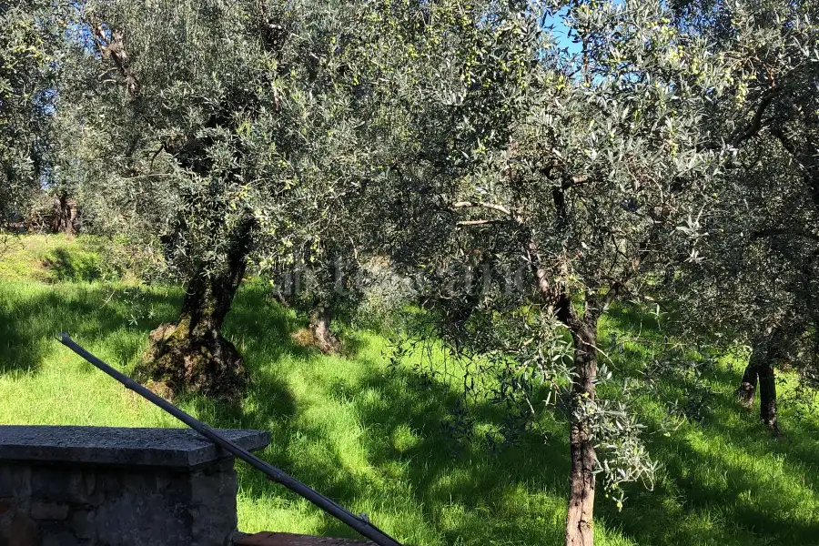 Villa in vendita di 410 mq a €398.000 (rif. 43/2024)
