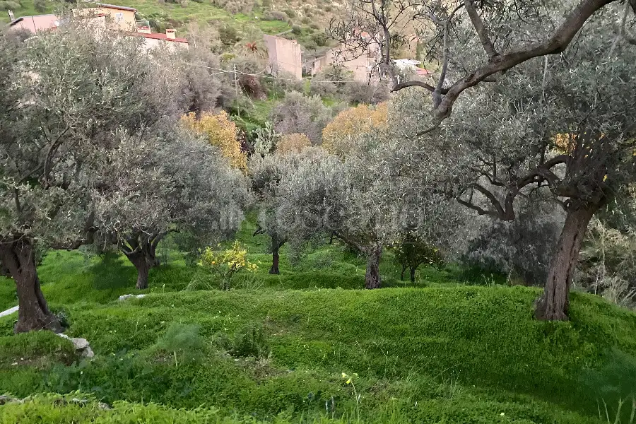 Casale in vendita di 60 mq a €68.000 (rif. 88/2024)