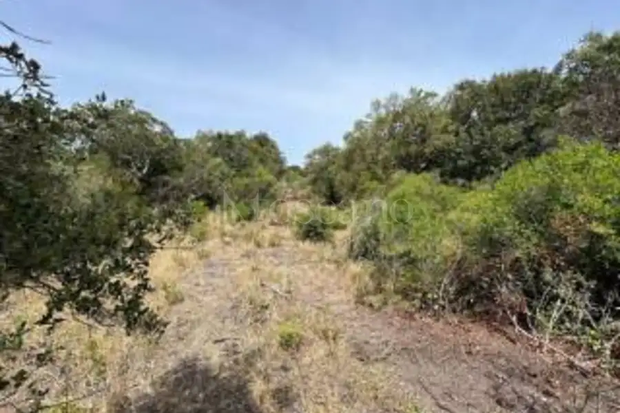 Agricolo in vendita di 75.140 mq a €95.000 (rif. 21/2025)