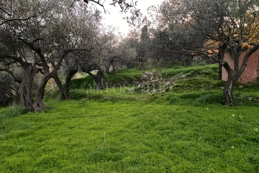 Casale in vendita di 60 mq a €68.000 (rif. 88/2024)