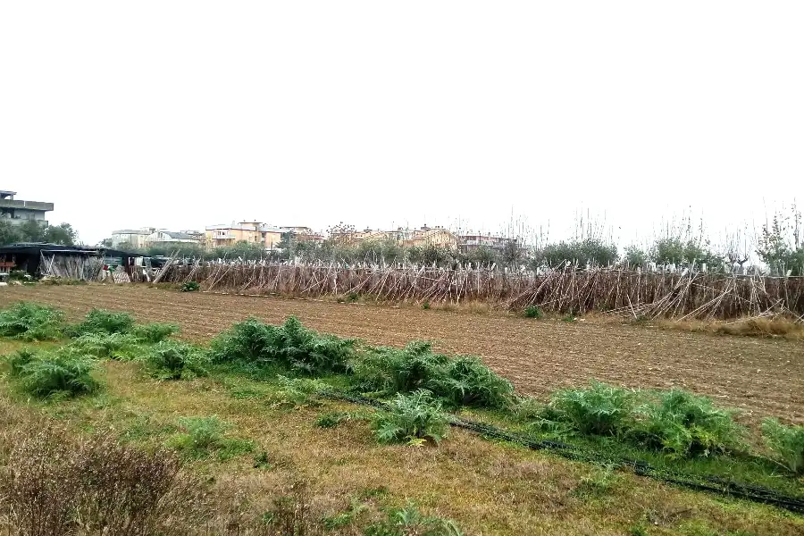 Agricolo in vendita di 2.400 mq a €55.000 (rif. 64/2025)