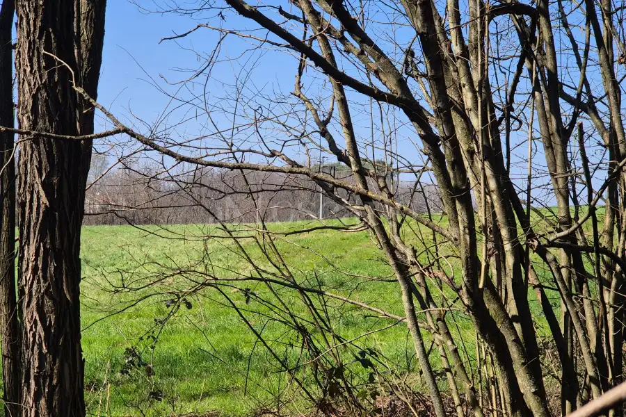 Agricolo in vendita di 80.000 mq a €445.000 (rif. 8/2025)
