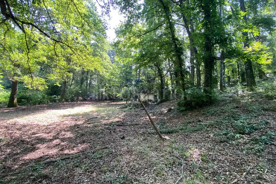 Agricolo in vendita di 5.000 mq a €19.000 (rif. 36/2025)