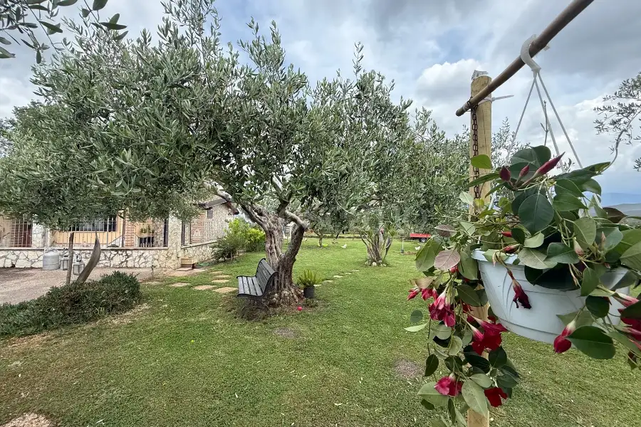 Agricolo in vendita di 30.000 mq a €350.000 (rif. 66/2026)