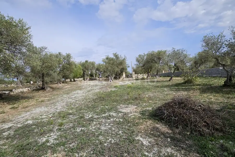 Edificabile Residenziali in vendita di 10.000 mq a €99.000 (rif. 176/2025)