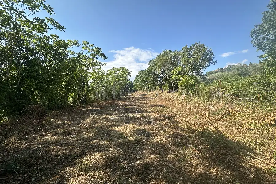 Agricolo in vendita di 1.200 mq a €19.900 (rif. 18/2025)