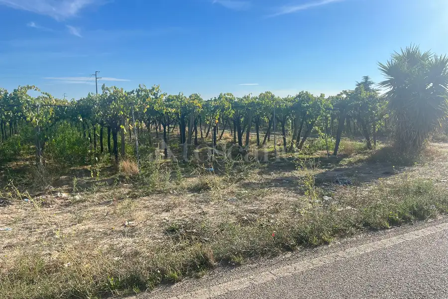 Agricolo in vendita di 7.000 mq a €69.000 (rif. 54/2025)