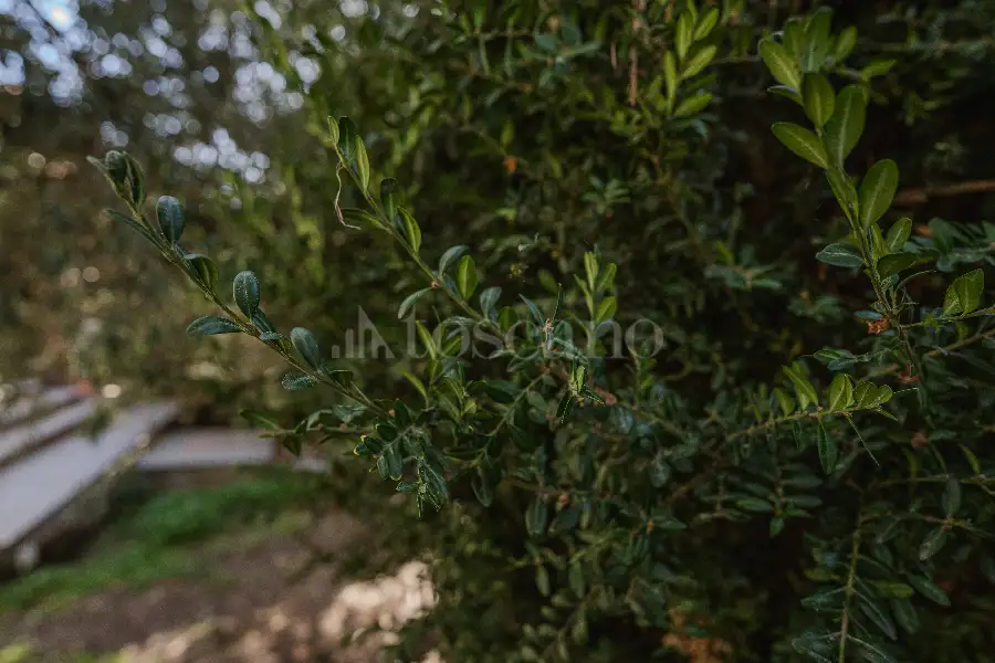 Villa in vendita di 220 mq a €375.000 (rif. 114/2023)