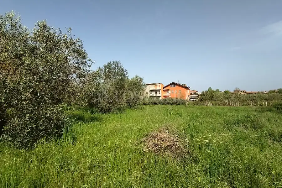 Agricolo in vendita di 5.520 mq a €65.000 (rif. 12/2025)