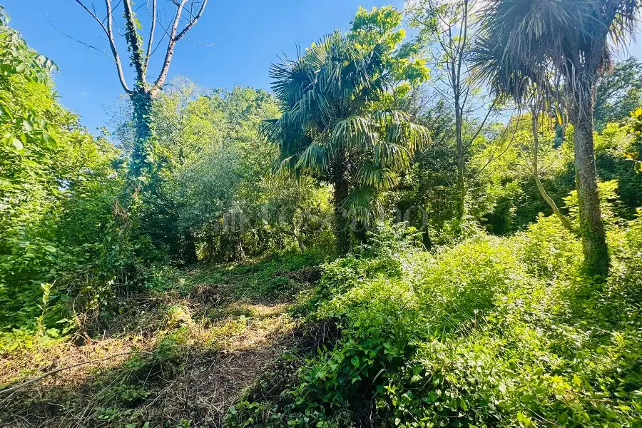 Casa Indipendente in vendita di 250 mq a €160.000 (rif. 146/2026)