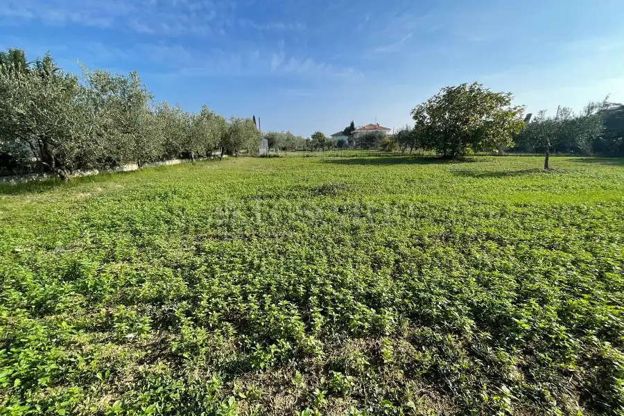Agricolo in vendita di 1.288 mq a €37.000 (rif. 59/2025)