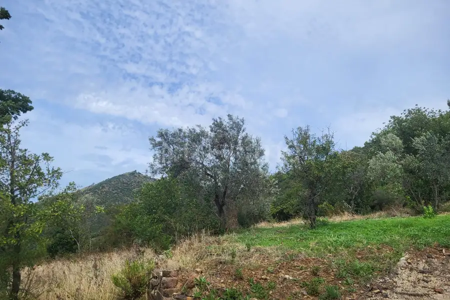 Agricolo in vendita di 10.000 mq a €75.000 (rif. 19/2024)