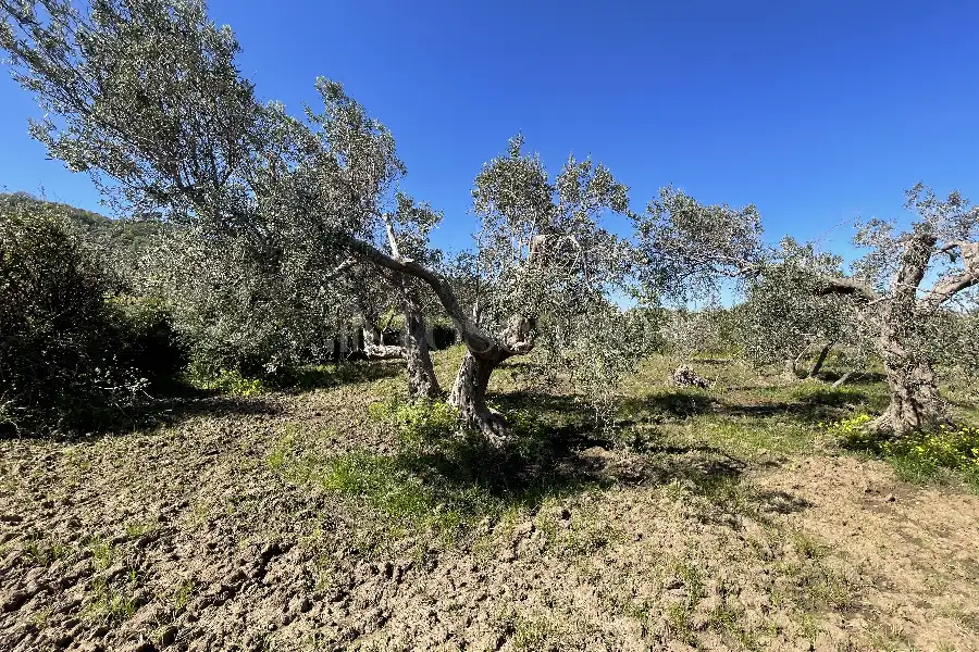 Rustico in vendita di 178 mq a €70.000 (rif. 14/2026)