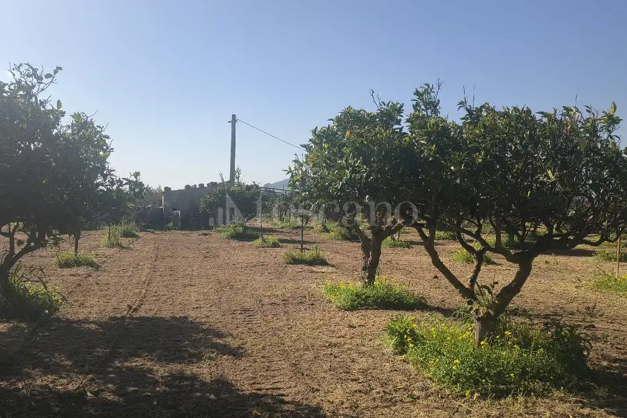 Agricolo in vendita di 14.880 mq a €108.000 (rif. 27/2026)