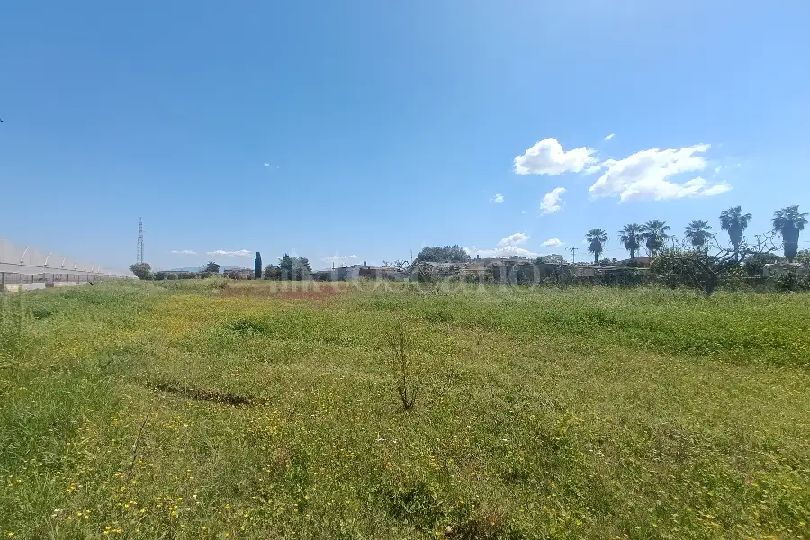 Edificabile Residenziali in vendita di 9.000 mq a €195.000 (rif. 32/2026)