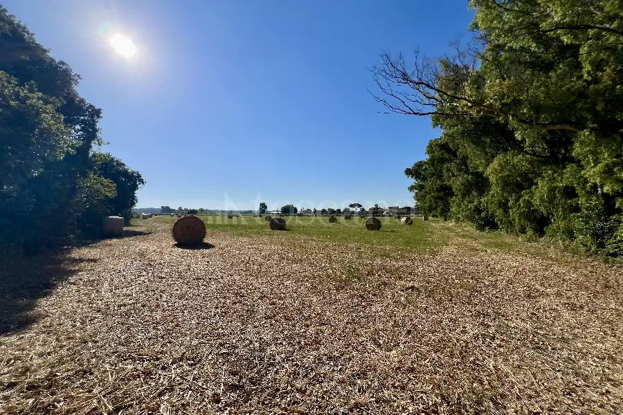 Agricolo in vendita di 75.000 mq a €250.000 (rif. 50/2026)