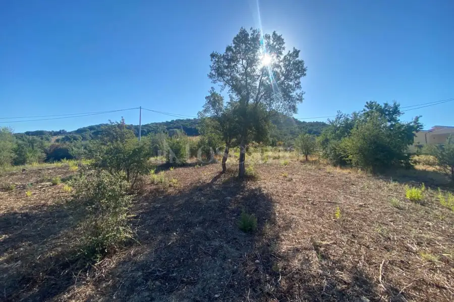 Edificabile Residenziali in vendita di 7.822 mq a €290.000 (rif. 6/2026)