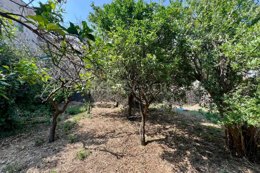 Casa Indipendente in vendita di 59 mq a €39.000 (rif. 113/2025)