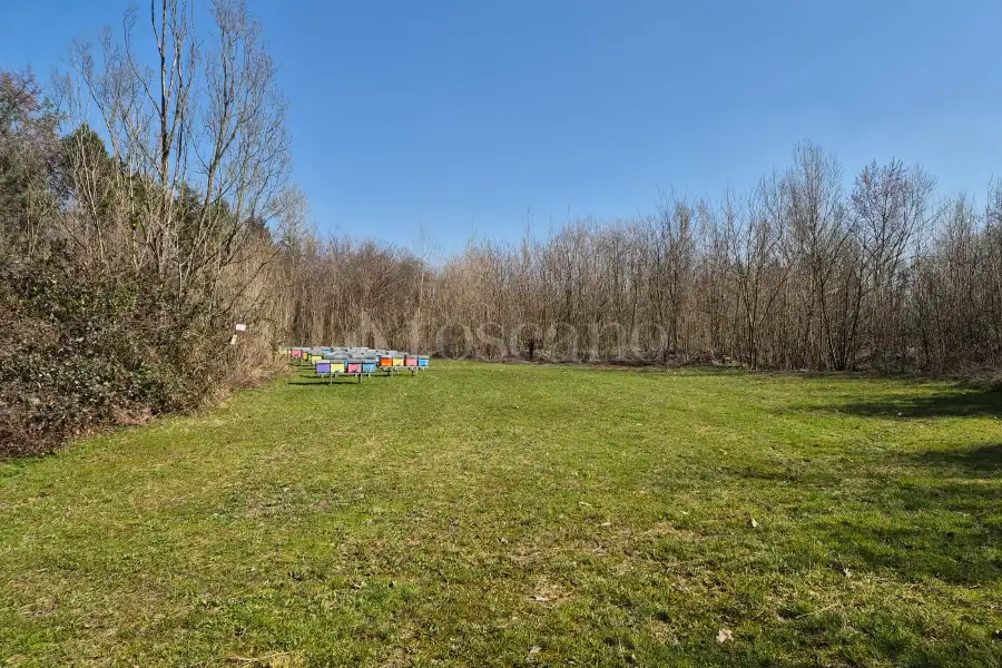 Agricolo in vendita di 80.000 mq a €445.000 (rif. 8/2025)