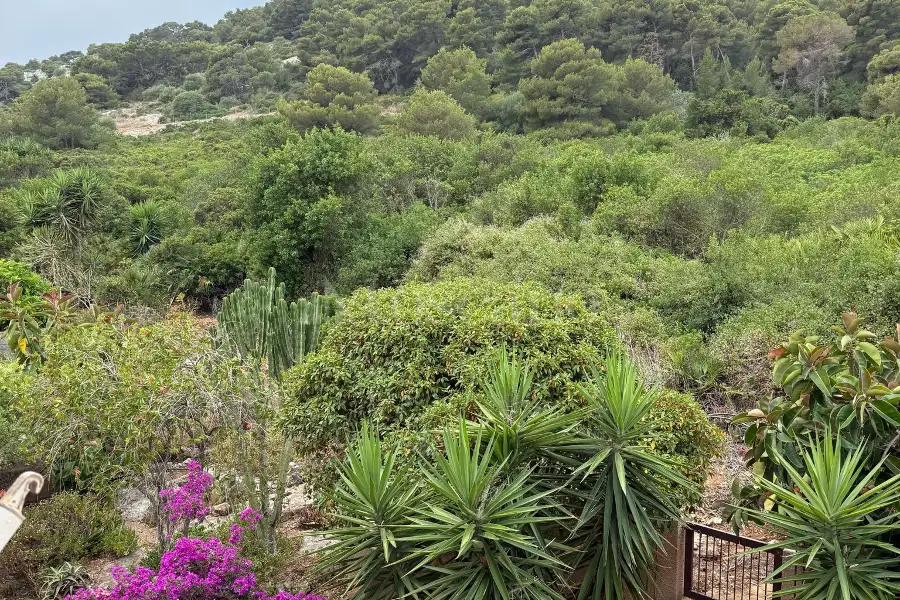 Villino a Schiera in vendita di 350 mq a €235.000 (rif. 96/2025)
