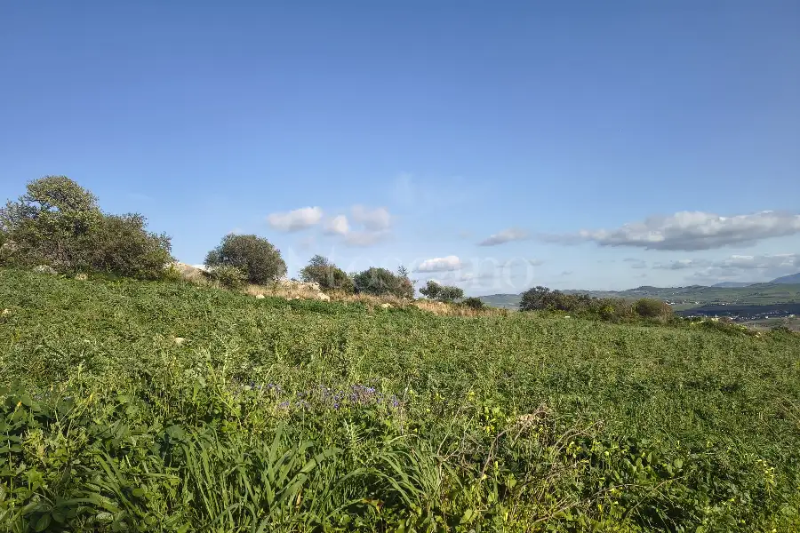 Agricolo in vendita di 9.600 mq a €33.000 (rif. 18/2026)