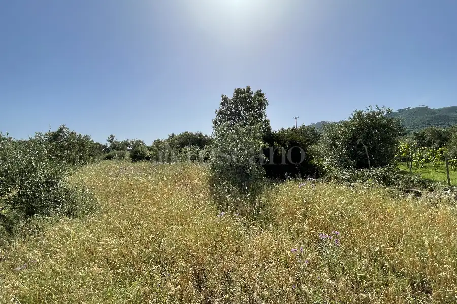 Agricolo in vendita di 3.300 mq a €28.000 (rif. 10/2025)
