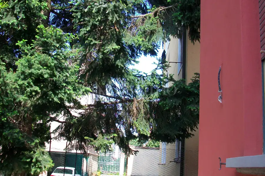 Casa in vendita di 134 mq a €289.000 (rif. 54/2024)